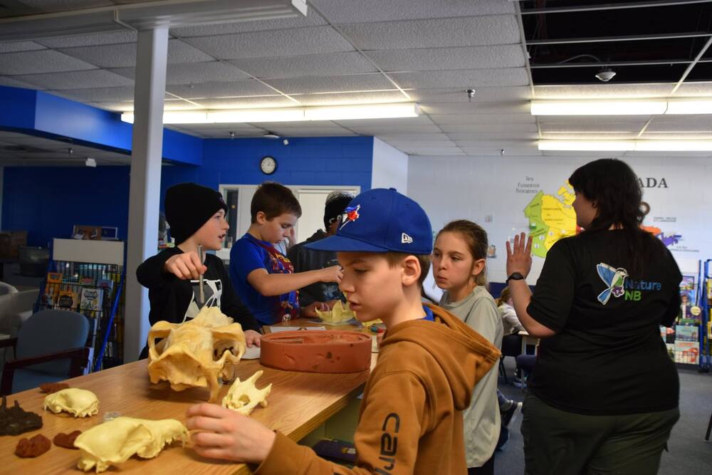 Apprendre par la nature! 